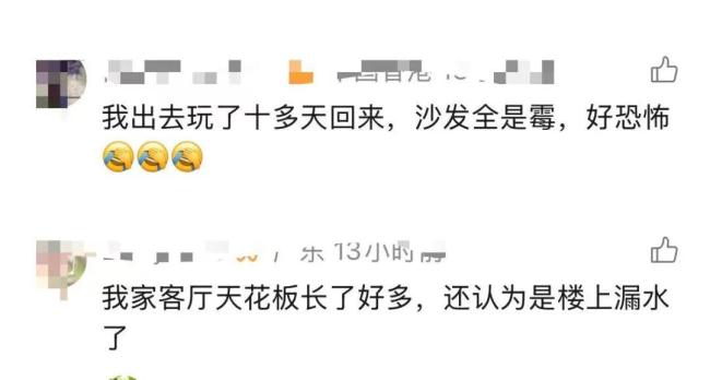 家中长出“黑色小刷子”千万别碰 警惕隐藏的健康威胁