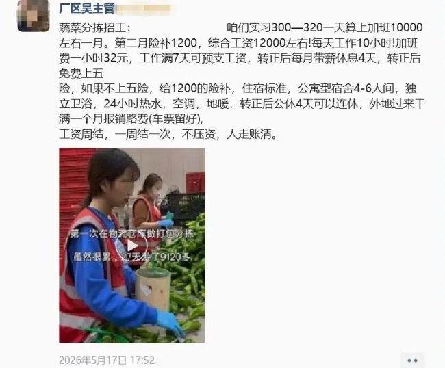记者暗访曝光“高薪招工”杀猪盘：交千元费、干重活、7天逼走人！黑中介套路深