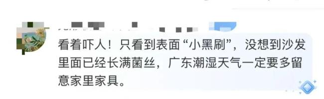 家中长出“黑色小刷子”千万别碰 警惕隐藏的健康威胁