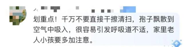 家中长出“黑色小刷子”千万别碰 警惕隐藏的健康威胁