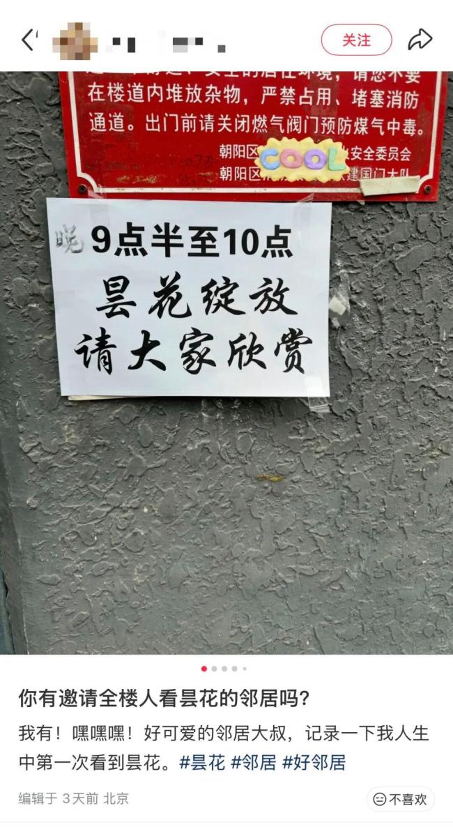 邀请全楼人看昙花的邻居真棒