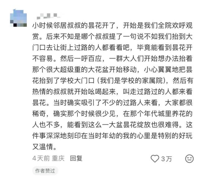 邀请全楼人看昙花的邻居真棒 温情回忆满满