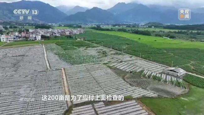 起底湖南江华水稻虚假台账 非粮化问题曝光