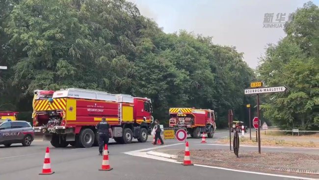 法国枫丹白露森林大火