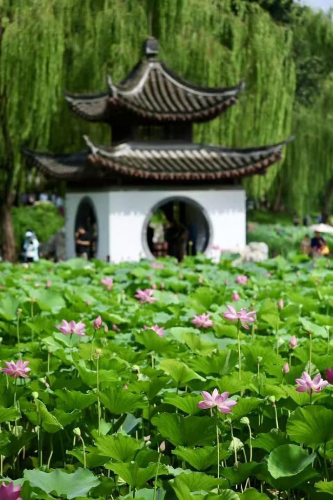 在北京邂逅京城限定的浪漫风光