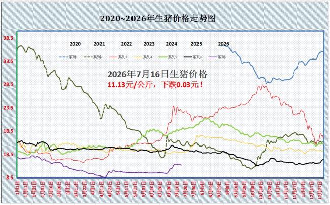 7月16日仔猪价格行情参考