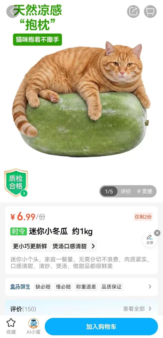 盒马猫咪抱冬瓜宣传图被吐槽照骗