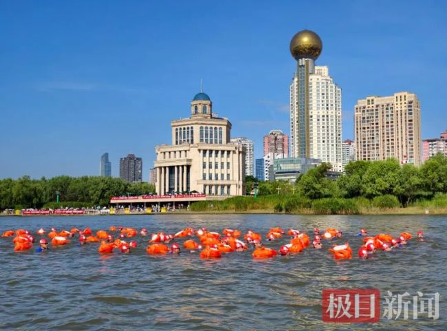 43岁副教授50分钟完成长江横渡 圆梦江城波浪间