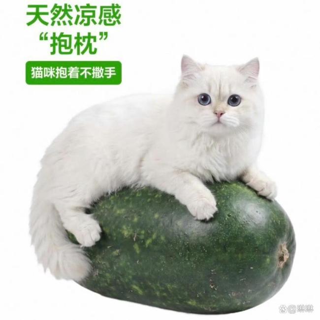 盒马因受害咪连夜改冬瓜图