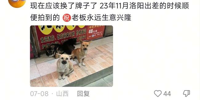 5只小狗烤鸭店排队等吃鸭屁股 温馨画面走红网络