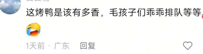 5只小狗烤鸭店排队等吃鸭屁股 温馨画面走红网络