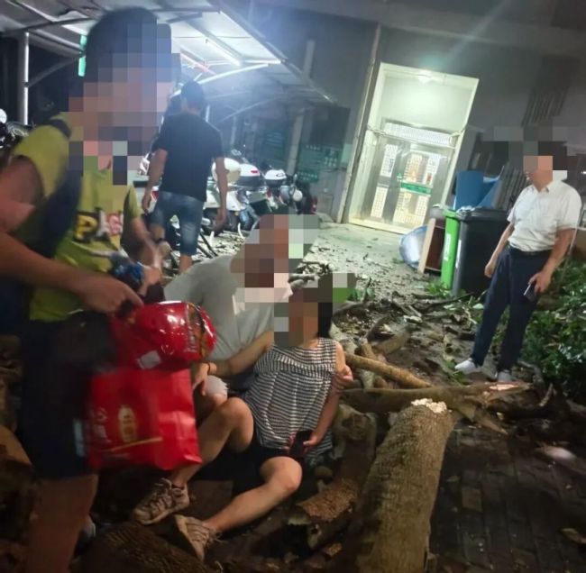 小区一大树突然倒下砸中一对母子 母子受伤住院治疗