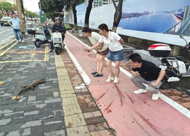 躺公交站巨蜥是五爪金龙标本 市民好奇围观拍照