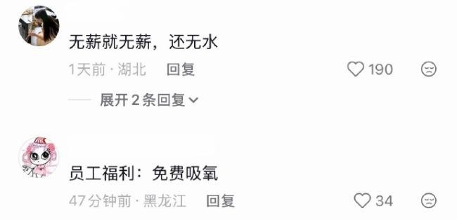 有人发明了无薪水工作!打工人也太难了,找工作看到简介里写着“无水”