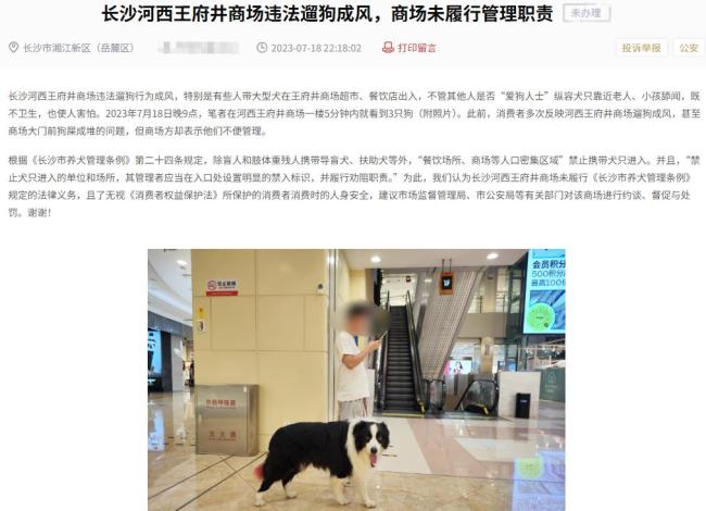 遛狗惊扰陌生人起冲突?当事人回应 商场管理责任何在