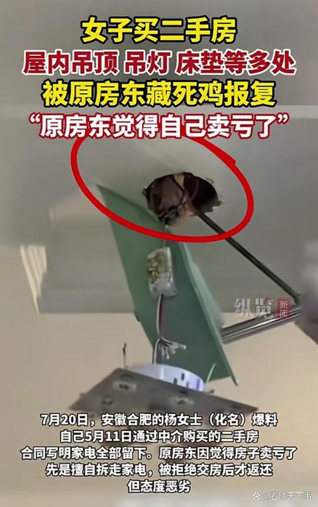 女子买房遭原房东藏死鸡报复