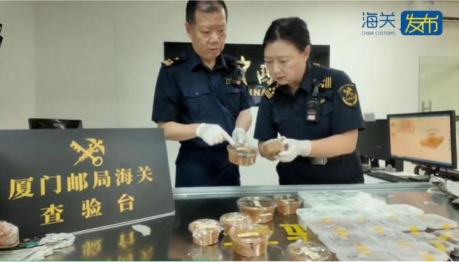 异宠市场沦为“疯狂动物城” 严控外来物种入侵