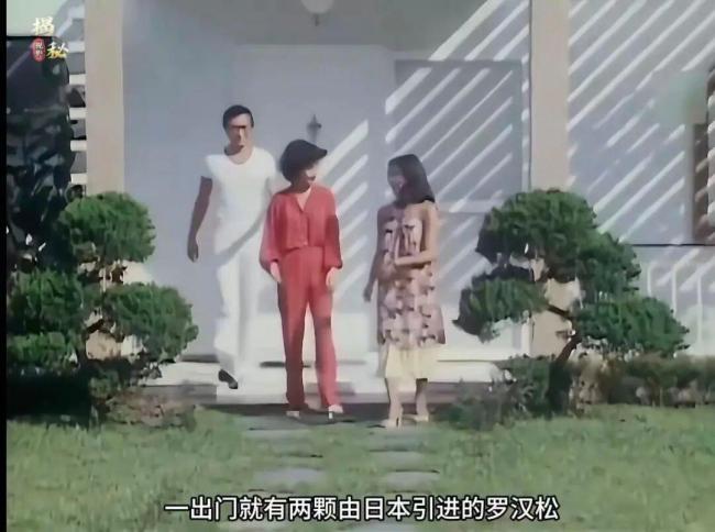 谢贤的一亿港元遗产是如何积累的 从片酬到投资的传奇一生