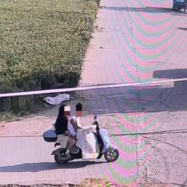 男女盗走网红边牧以180元转卖宰杀 狗主人拟民事诉讼求赔偿
