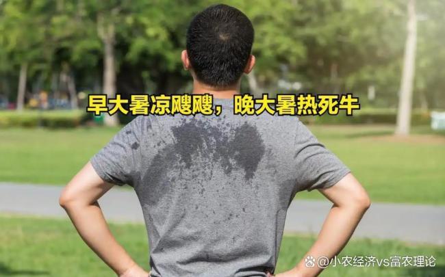 7月23日3时13分迎大暑 早大暑凉飕飕