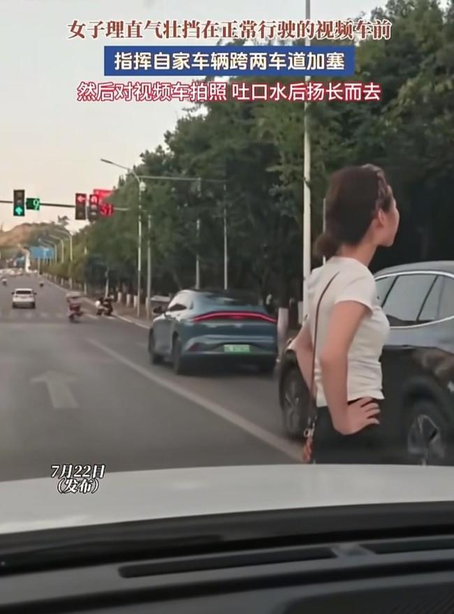 夫妻拦车跨实线加塞还辱骂他人 肉身开道惹众怒
