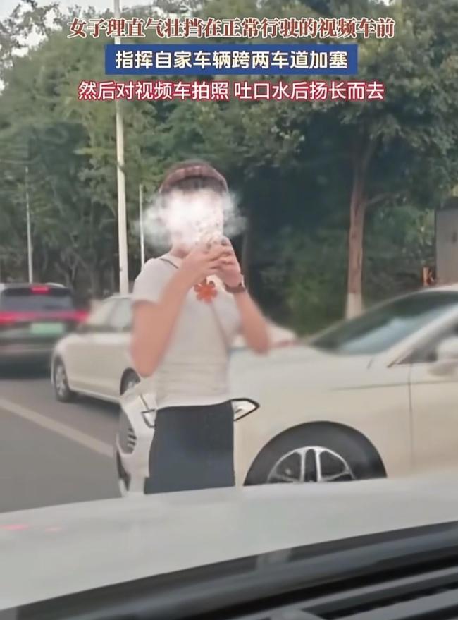 夫妻拦车跨实线加塞还辱骂他人 肉身开道惹众怒