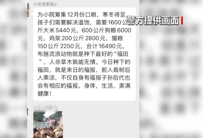 借流浪动物卖惨诈骗于法不容 空包裹骗局曝光