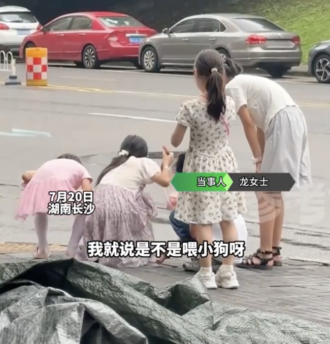 1根香肠掰两半一半饱腹一半陪伴