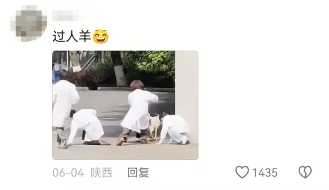 农学生的“毕业论文”又被偷了