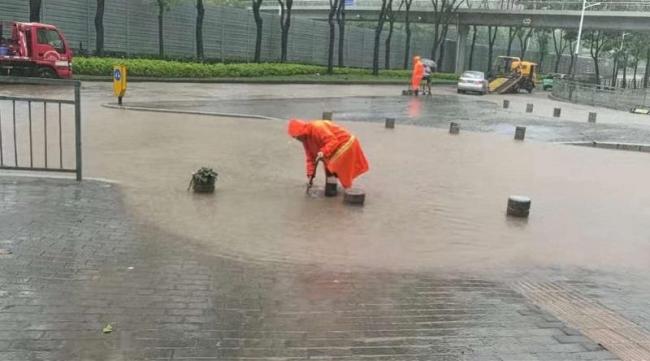 台风后的深圳:锯树 切杆 争分夺秒恢复市容