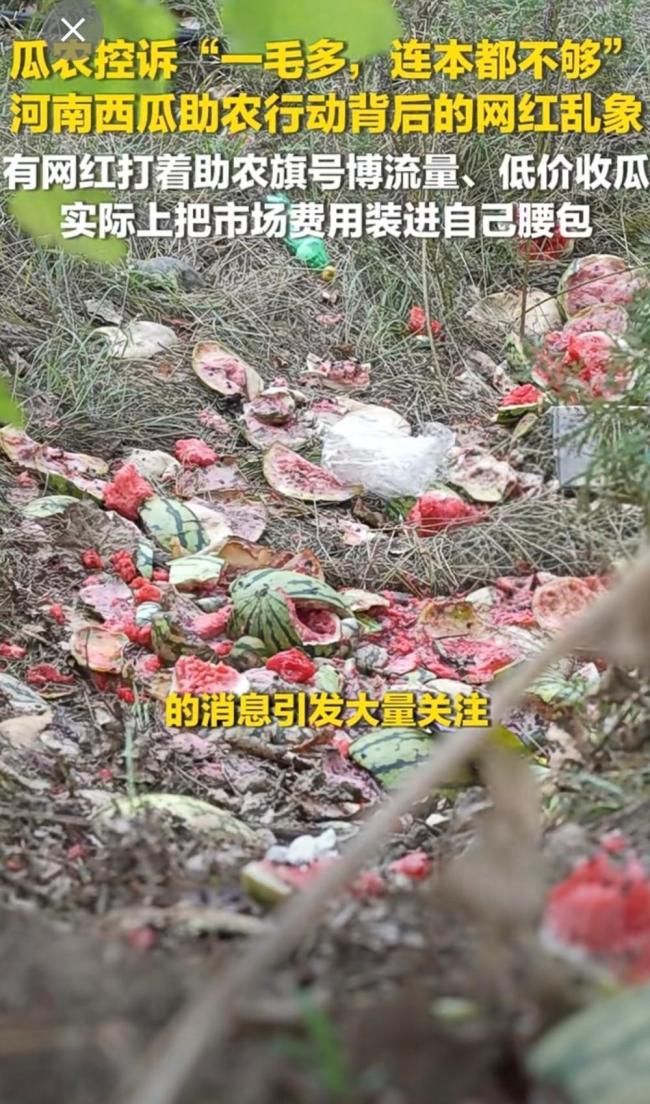 价格压到1毛多?爱心西瓜不容流量收割