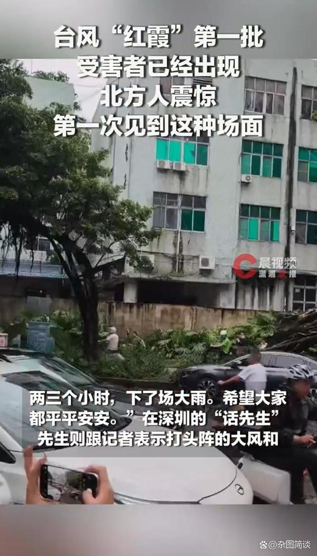 台风红霞第一批受害者已经出现 视觉与心理冲击引发热议