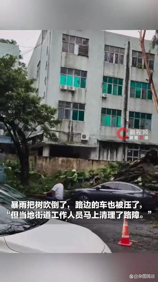 台风红霞第一批受害者已经出现 视觉与心理冲击引发热议