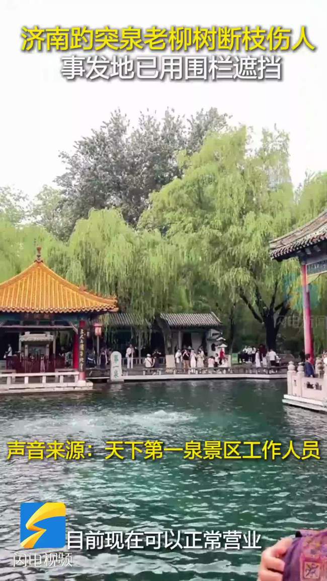 济南趵突泉树木倒伏疑砸伤游客