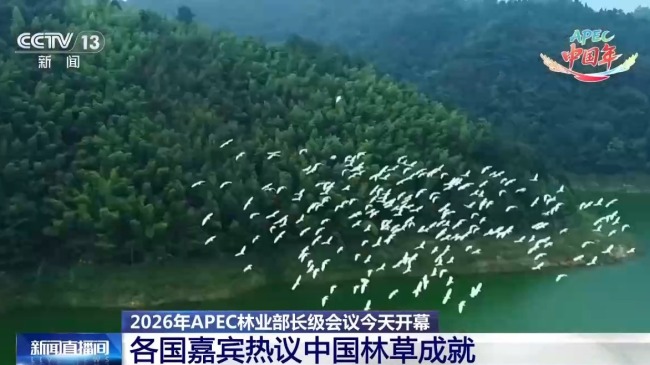 APEC林业部长级会议共绘亚太绿色未来