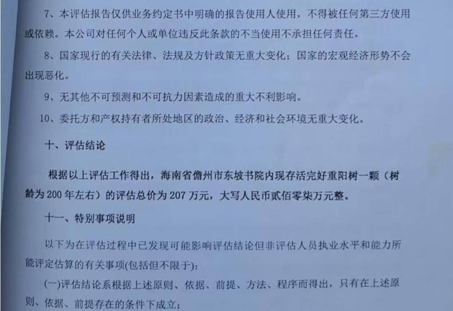 祖父种的百年古树被林业局转赠书院 所有权争议持续