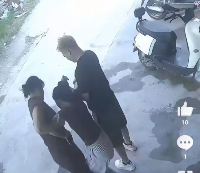 广东女子被红火蚁咬后休克