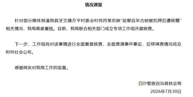 古树被盗后被林业局偷偷转赠