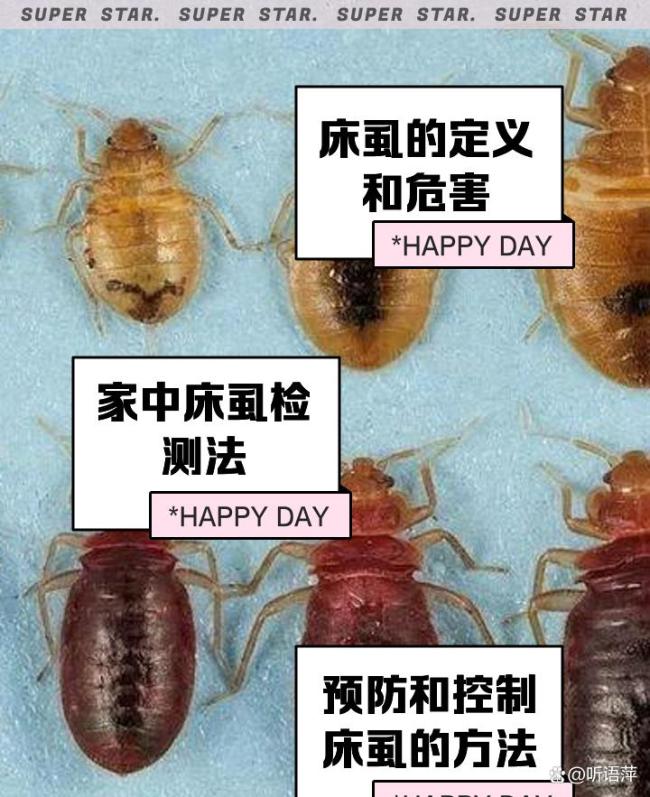上海维也纳酒店被指房间爬满床虱 连锁麻烦引发关注