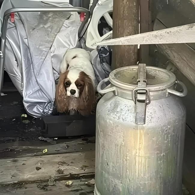 俄选美小姐遭肢解抛尸 男友被通缉 监控记录抛尸过程