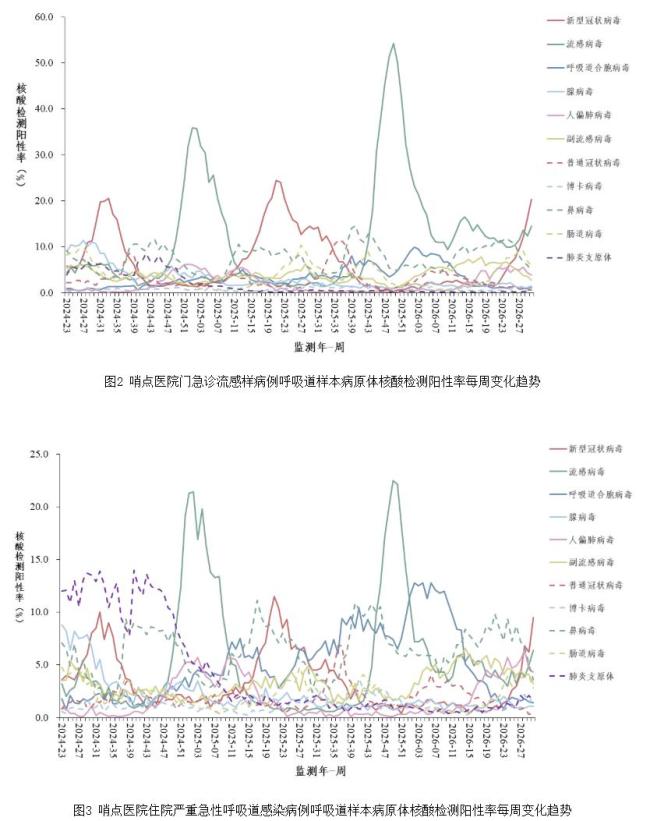 新冠检测阳性率超20% 南方省份高于北方