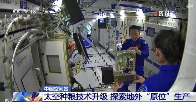 在轨连续培养两代水稻实验进展顺利 太空种粮技术升级