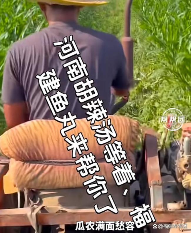 福州小哥摆摊售出62万斤公益西瓜 一人善举温暖全城
