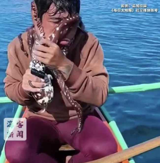 菲律宾渔民被章鱼吸脸扯成表情包 惊险脱险记
