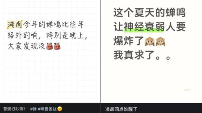 被知了吵到耳鸣耳闷要及时就医，医生紧急提醒