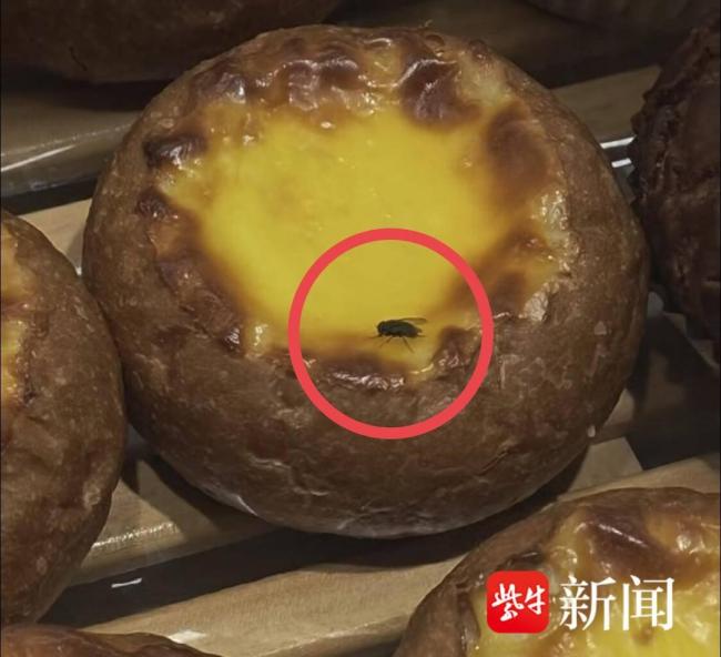 好利来店员回应苍蝇落蛋糕常有的事 卫生问题引担忧