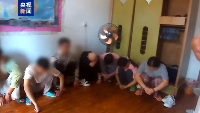 近80名年轻小伙被网恋悲情剧本诈骗 诈骗团伙精准物色目标