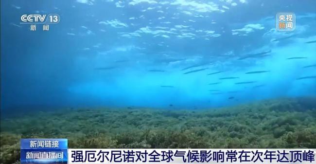超强厄尔尼诺事件发生概率持续增大 全球气候影响或达顶峰
