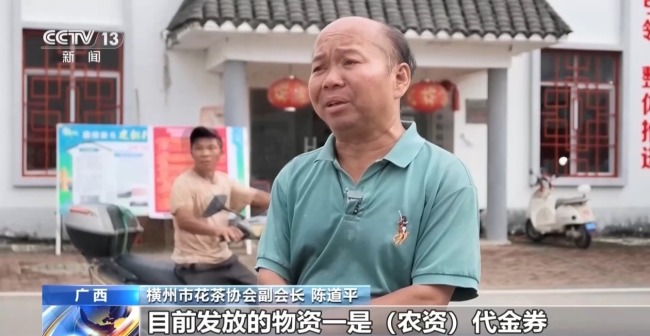 多方合力 广西横州茉莉花产业链灾后突围