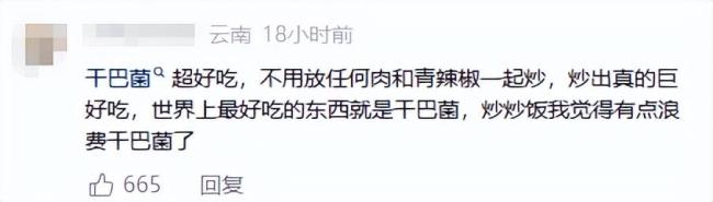 演员颖儿被云南干巴菌价钱吓到 贵比黄金仍连吃三碗